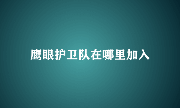 鹰眼护卫队在哪里加入