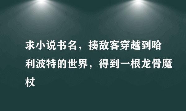 求小说书名，揍敌客穿越到哈利波特的世界，得到一根龙骨魔杖