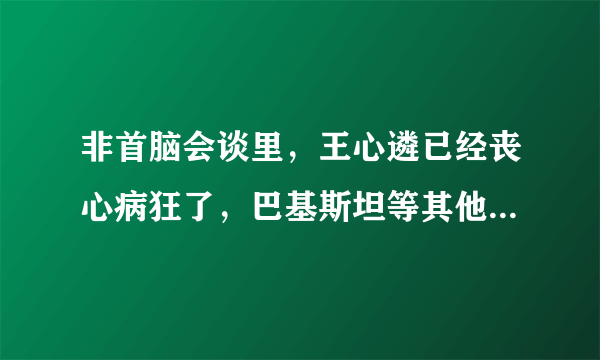 非首脑会谈里，王心遴已经丧心病狂了，巴基斯坦等其他国家代表的看得出来，为什么韩国不换掉他呢？