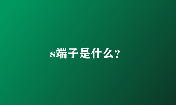 s端子是什么？