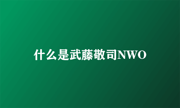 什么是武藤敬司NWO