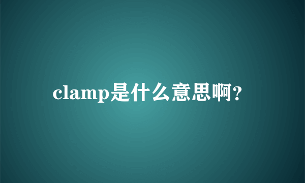 clamp是什么意思啊？