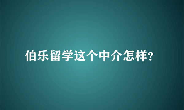 伯乐留学这个中介怎样？