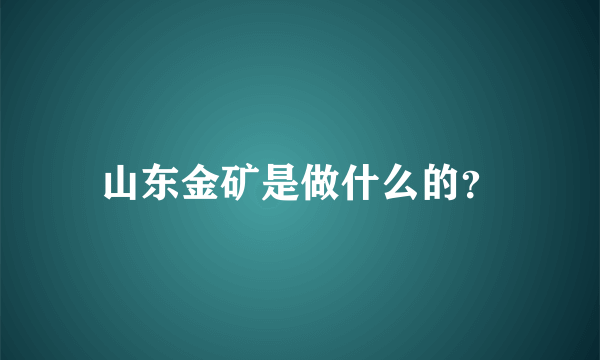 山东金矿是做什么的？