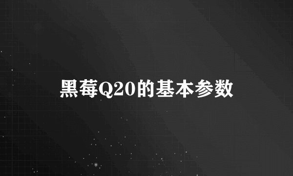 黑莓Q20的基本参数