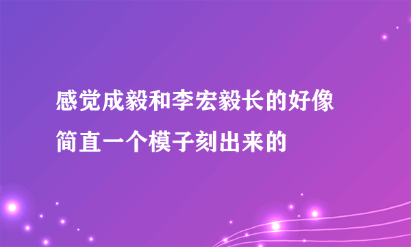 感觉成毅和李宏毅长的好像 简直一个模子刻出来的