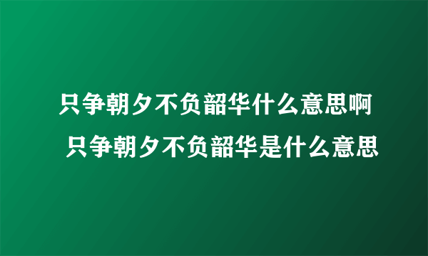 只争朝夕不负韶华什么意思啊 只争朝夕不负韶华是什么意思