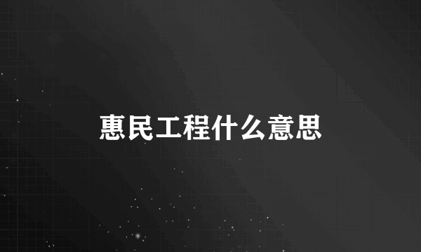 惠民工程什么意思