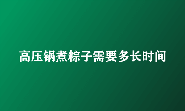 高压锅煮粽子需要多长时间