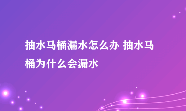 抽水马桶漏水怎么办 抽水马桶为什么会漏水