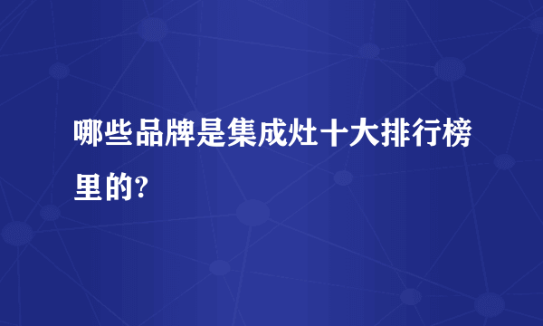 哪些品牌是集成灶十大排行榜里的?