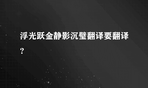 浮光跃金静影沉璧翻译要翻译？