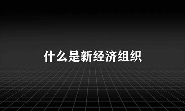 什么是新经济组织