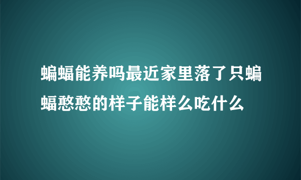 蝙蝠能养吗最近家里落了只蝙蝠憨憨的样子能样么吃什么