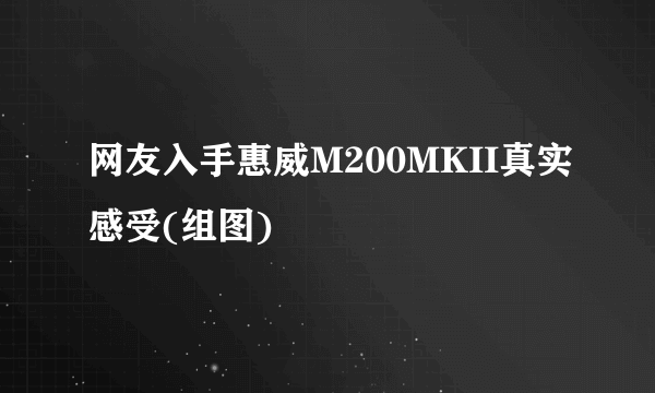 网友入手惠威M200MKII真实感受(组图)