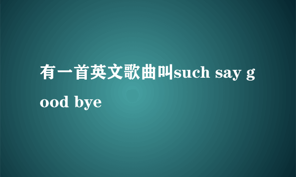 有一首英文歌曲叫such say good bye