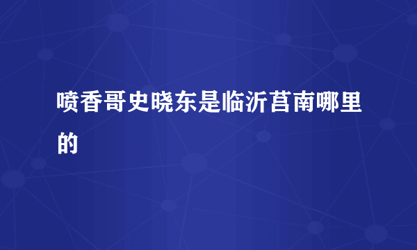 喷香哥史晓东是临沂莒南哪里的