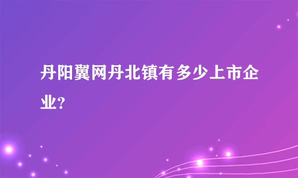 丹阳翼网丹北镇有多少上市企业？