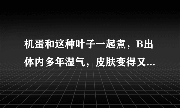 机蛋和这种叶子一起煮，B出体内多年湿气，皮肤变得又滑又嫩！