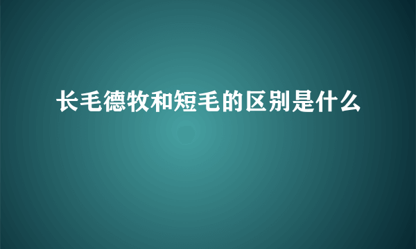 长毛德牧和短毛的区别是什么