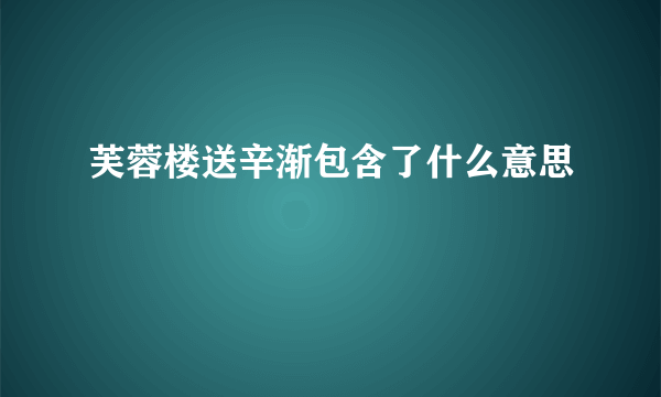 芙蓉楼送辛渐包含了什么意思