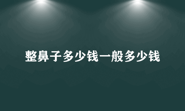 整鼻子多少钱一般多少钱