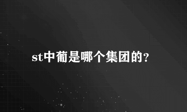 st中葡是哪个集团的？