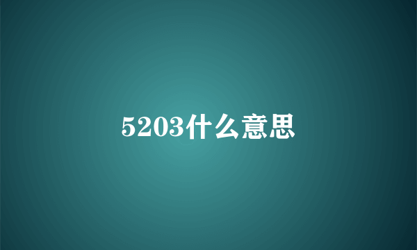 5203什么意思