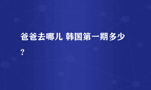 爸爸去哪儿 韩国第一期多少？