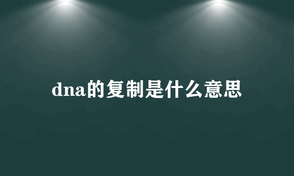 dna的复制是什么意思