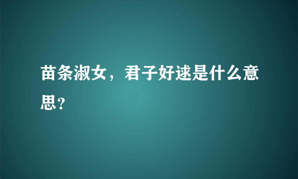 苗条淑女，君子好逑是什么意思？