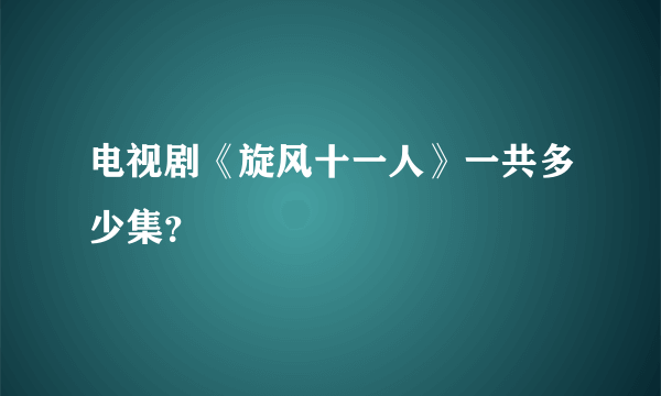 电视剧《旋风十一人》一共多少集？