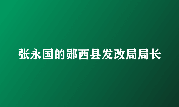 张永国的郧西县发改局局长