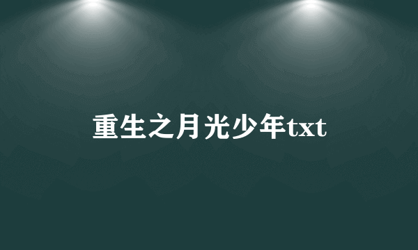 重生之月光少年txt