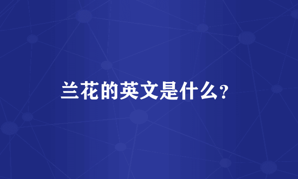 兰花的英文是什么？