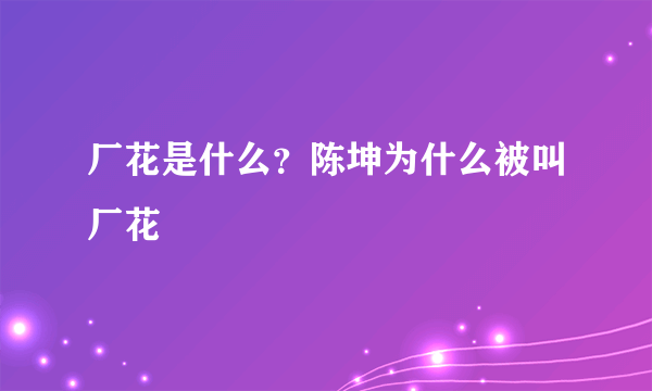 厂花是什么？陈坤为什么被叫厂花