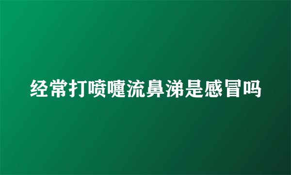 经常打喷嚏流鼻涕是感冒吗