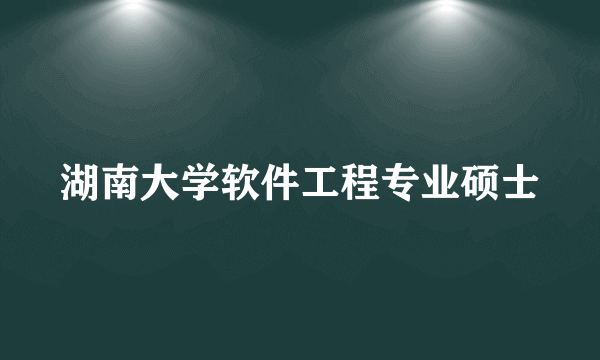 湖南大学软件工程专业硕士