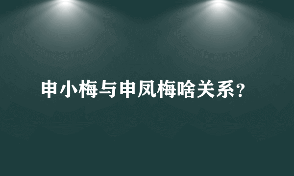 申小梅与申凤梅啥关系？