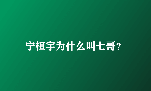 宁桓宇为什么叫七哥？