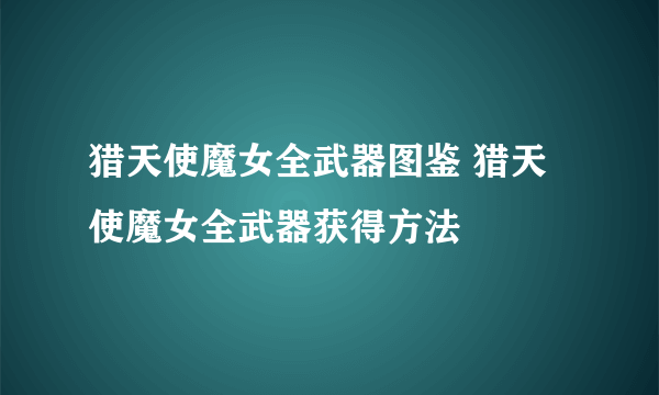 猎天使魔女全武器图鉴 猎天使魔女全武器获得方法