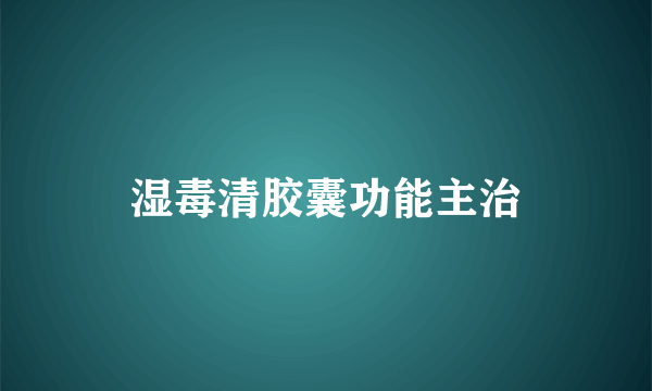 湿毒清胶囊功能主治