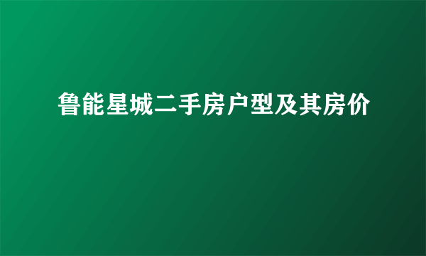 鲁能星城二手房户型及其房价