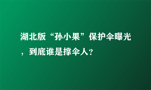 湖北版“孙小果”保护伞曝光，到底谁是撑伞人？