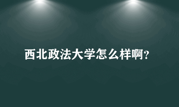 西北政法大学怎么样啊？