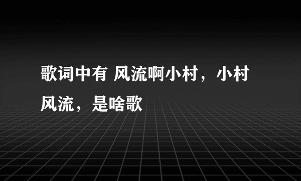 歌词中有 风流啊小村，小村风流，是啥歌