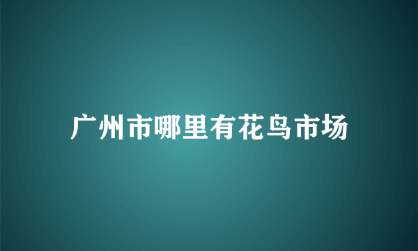 广州市哪里有花鸟市场