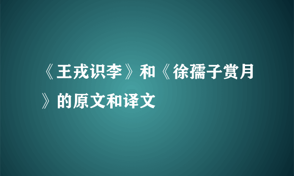 《王戎识李》和《徐孺子赏月》的原文和译文