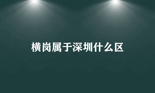 横岗属于深圳什么区