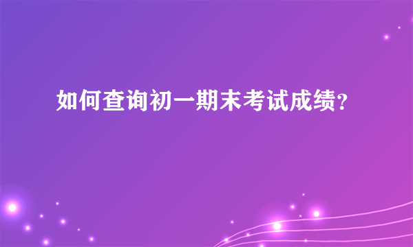 如何查询初一期末考试成绩？